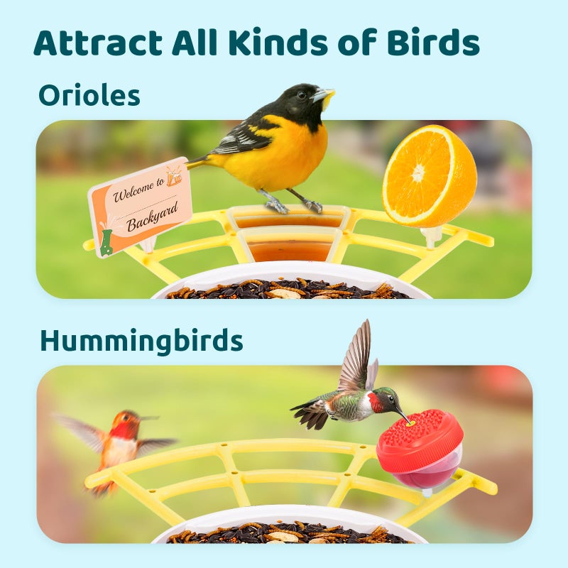 NETVUE by Birdfy Pro Perch - Wider Extension Perch to DIY Add-ons Including Suet Ball  Mini Hummingbird Feeder  Fruit Holder  Jelly Feeder and Welcome Card  Ideal for Bird Lover (Yellow) - Image 3